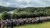 Flot så det ud, da næsten 450 elever spillede stomp til Børnefestival ved Naturskolen ved Hald.